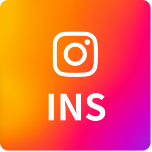 ins-logo